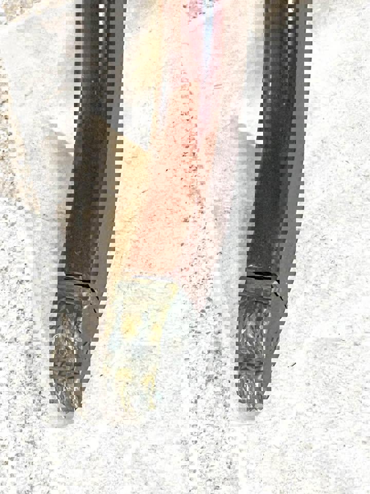 Mahogany hall stand Telephone table end table bedside table brass paws antique