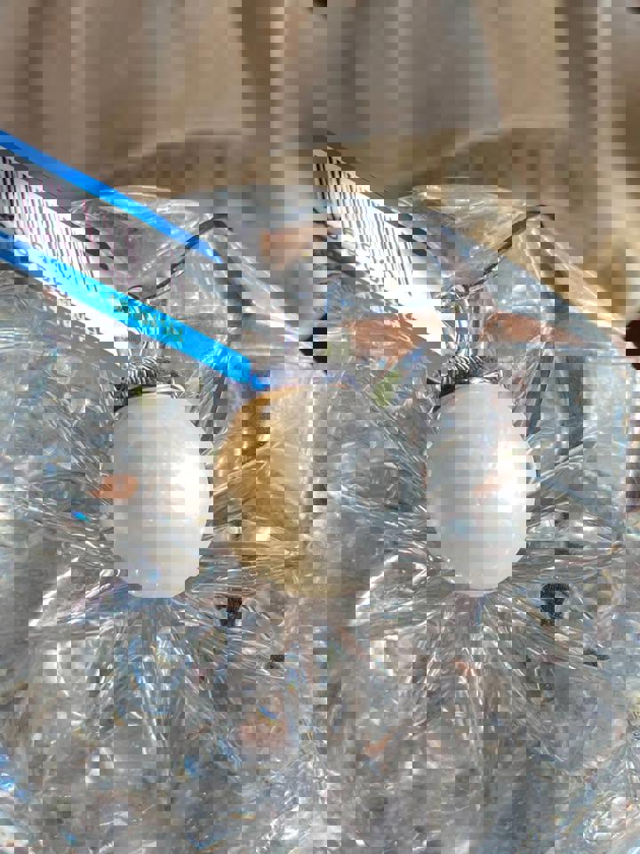 16mm giant natural pearl pendent in s925 necklace with certificate