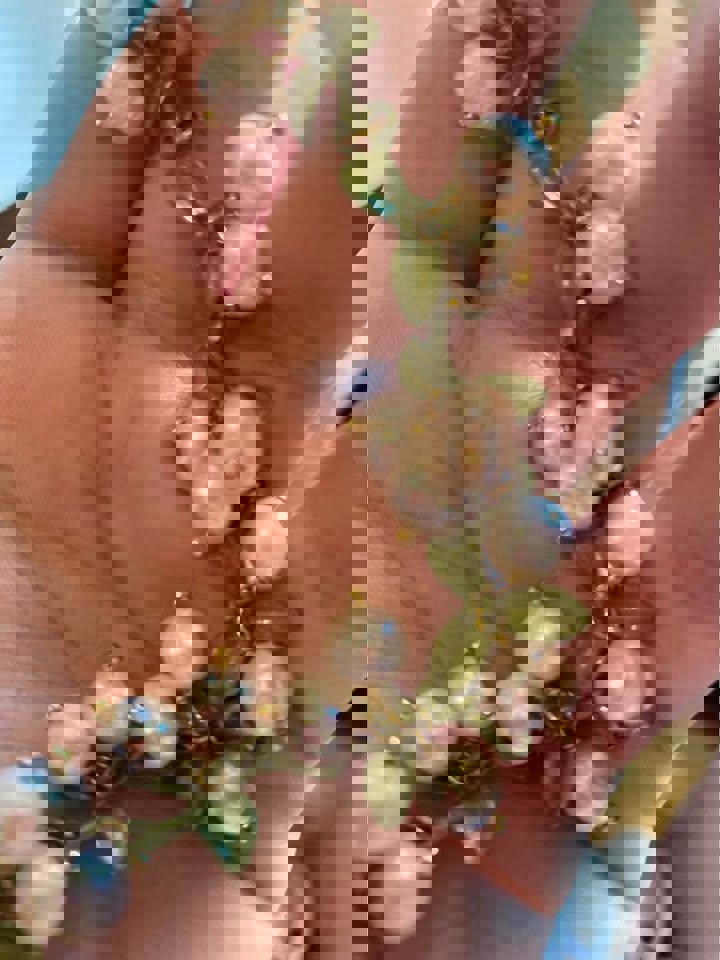 Handmade Women Lily Bell orchid Cultured Pearl Vintage Bracelets& pendent