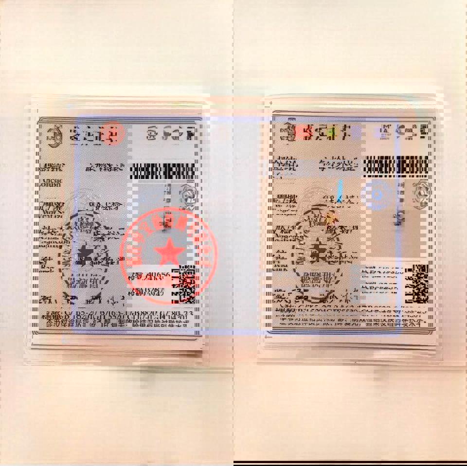 13mm Luxury AAA Golden Seawater Pearl Pendant in S925 with certificate