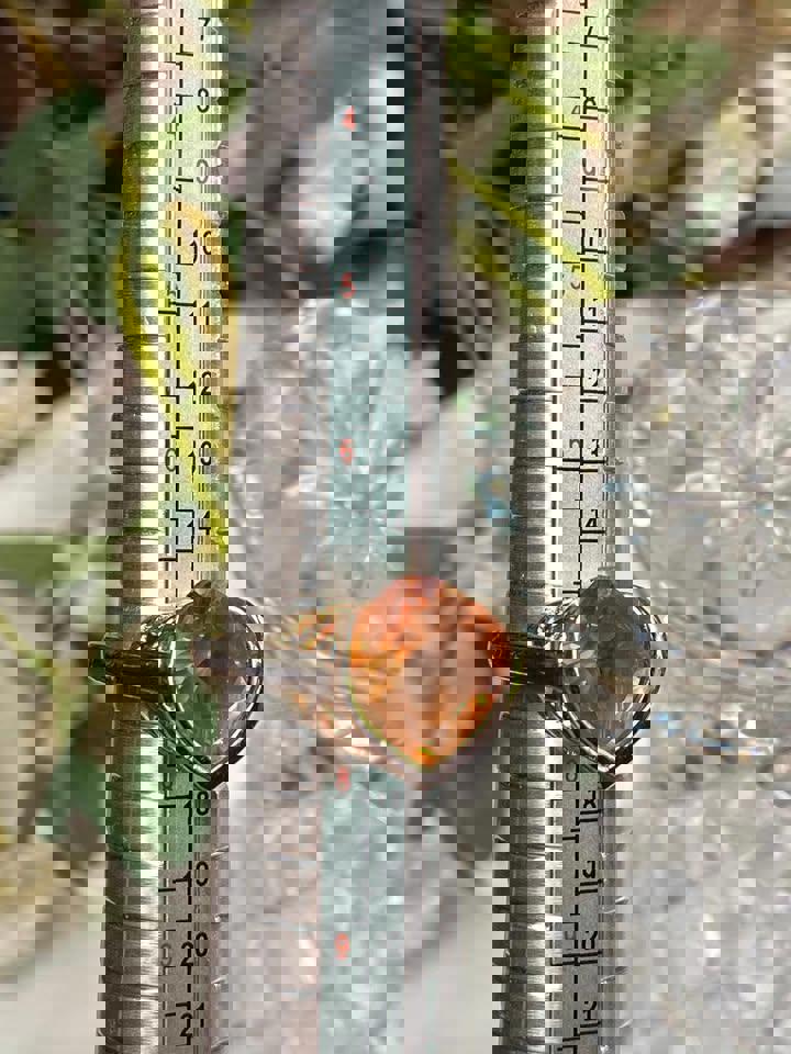 bracelet and ring set ChromaLuxe Radiance Bracelet Set