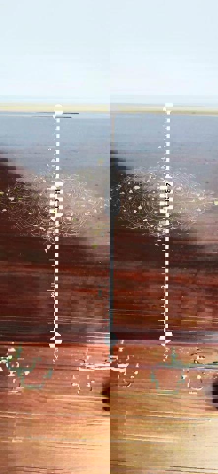 Antique European Brass Inlay Masterpiece cabinet sideboard hall stand hallway