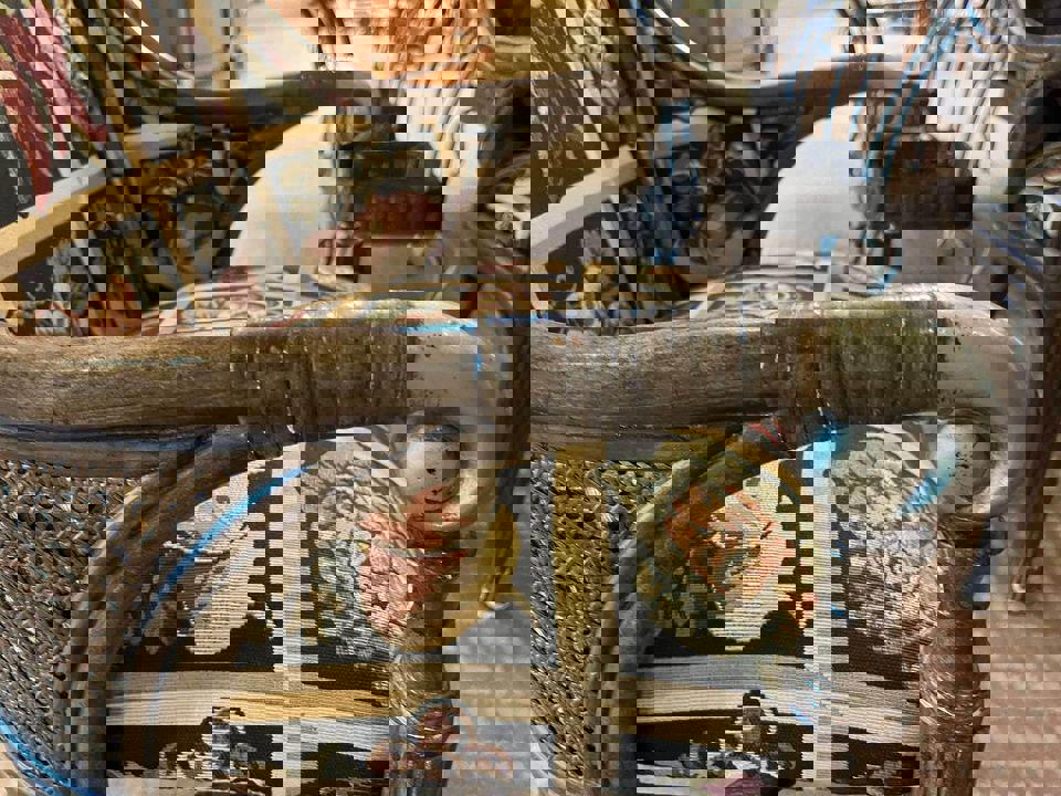 Antique chairs still strong firm and solid light weight 3 pieces available