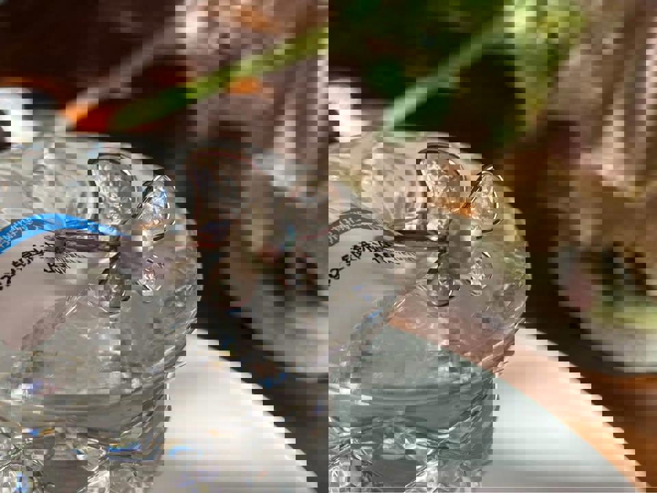 Natural Akoya pearl Butterfly ring in s925 adjustable size