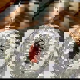 Vintage style S925 Garnet adjustable ring