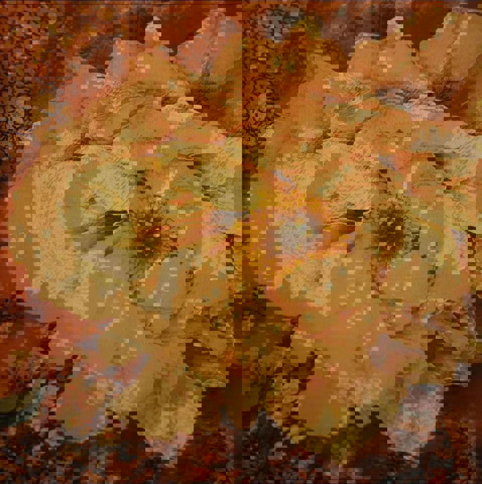 Elegant Floral Silk like Scarf/Throw 70x180cm rich brown Christmas gift for her