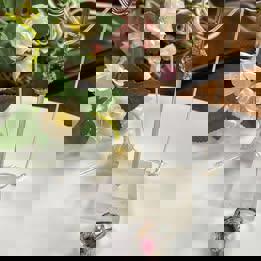 natural ruby pendant and ring set in S925 adjustable