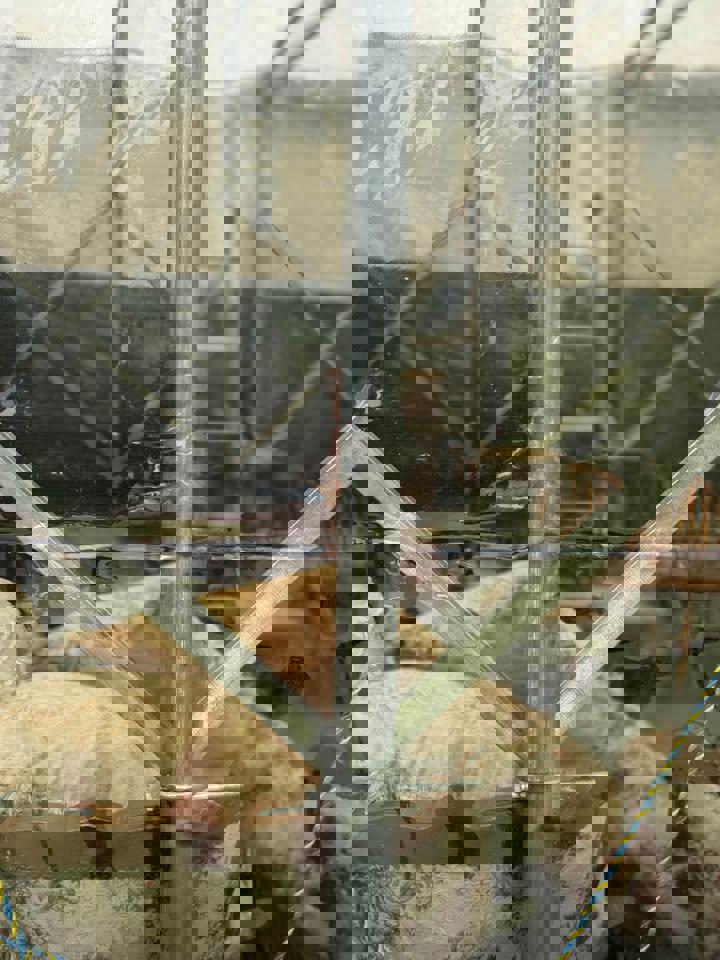 Extra heavy duty tent with wheels steel 3x9m temporary garage/storage/shed