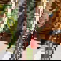 Vintage style S925 Garnet adjustable ring