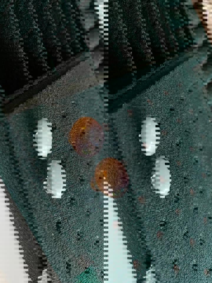 Natural pearl stud in 18k gold earrings with certificate