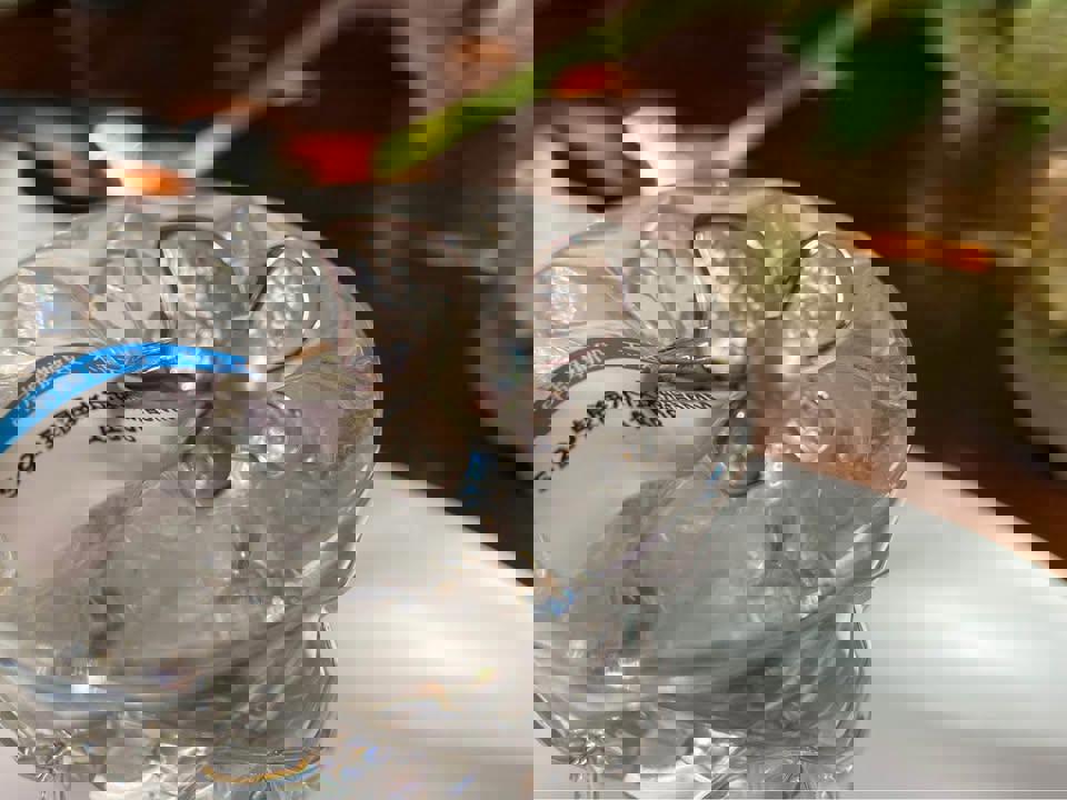 Natural Akoya pearl Butterfly ring in s925 adjustable size