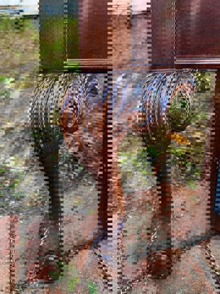 Antique solid mahogany double bed head and tail parts